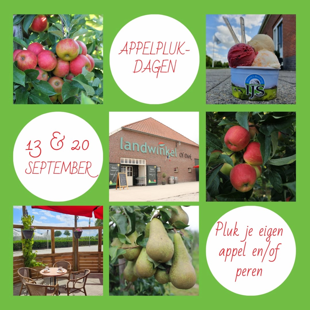 Ol Diek appelplukdagen